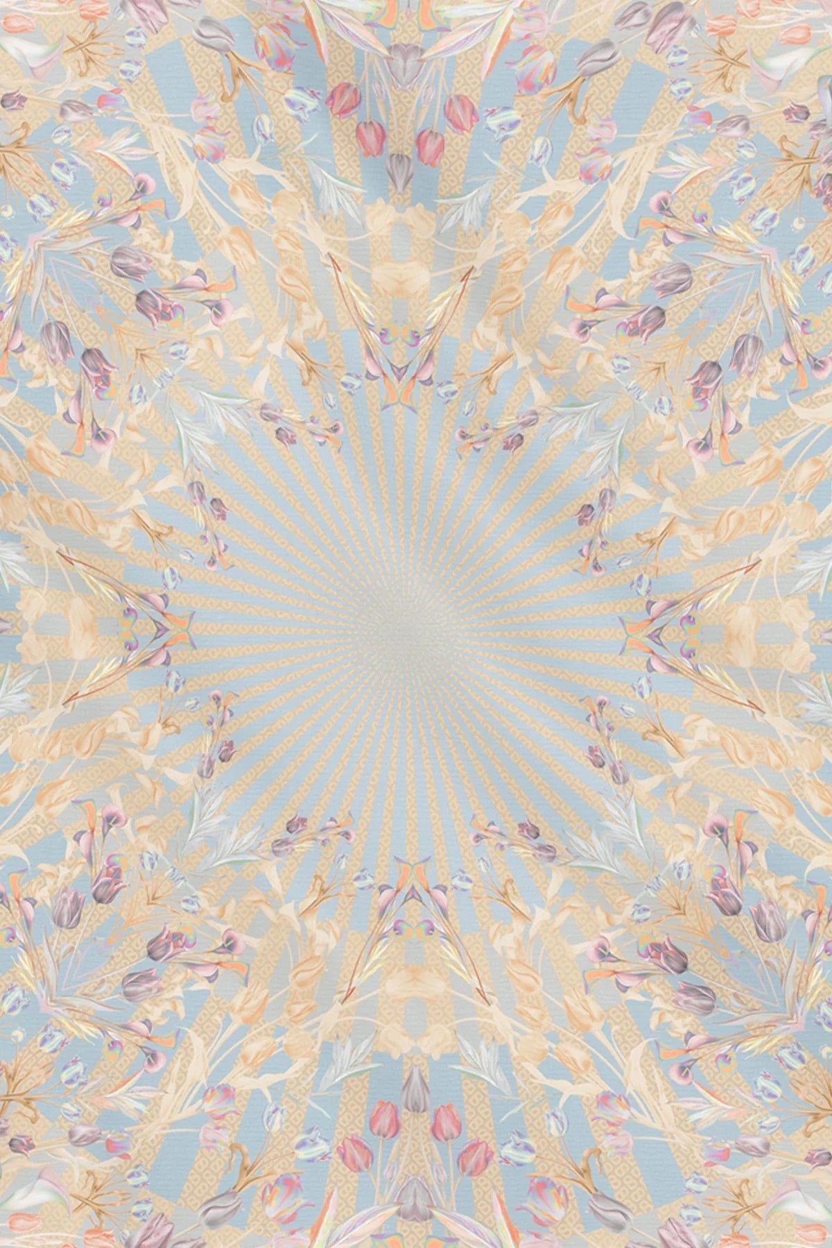 Tulip - Sunshine