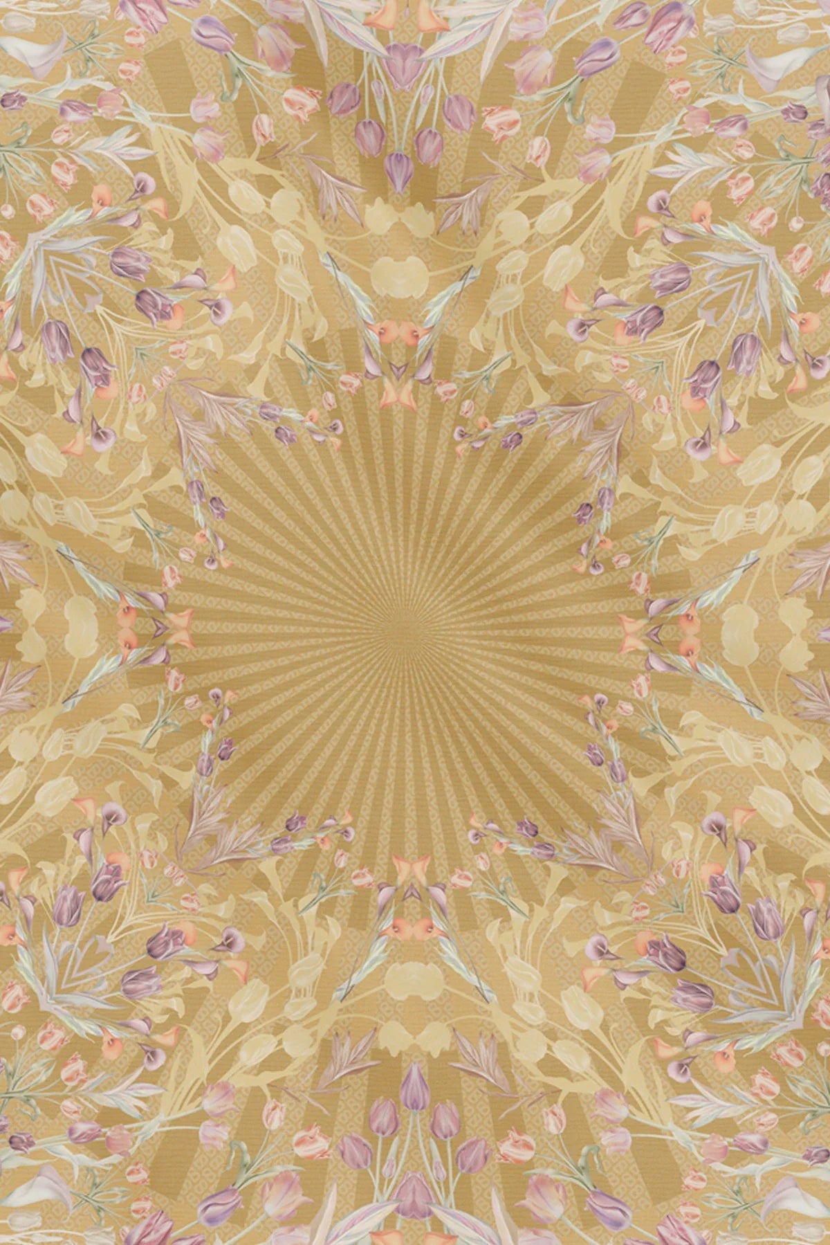 Tulip - Honey