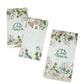 Raya Envelope