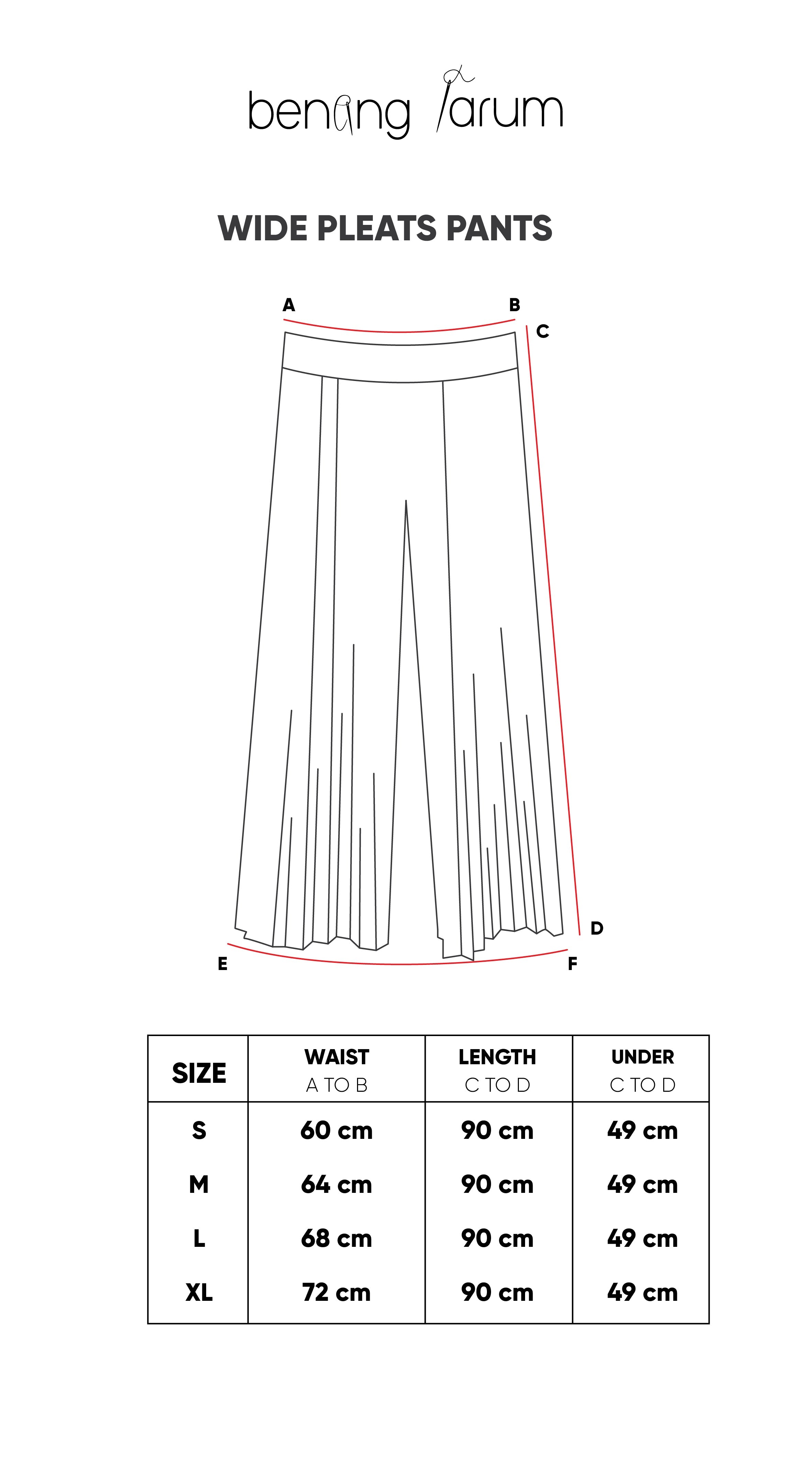 Navy Wide Pleats Pants